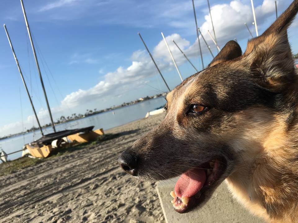 Roxy-Bay-1