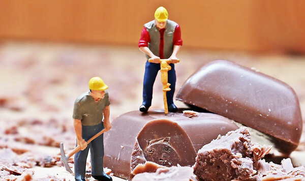 The Habit Factor®